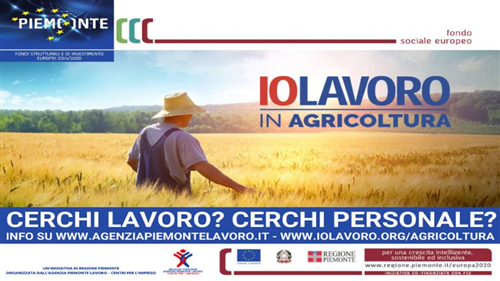 “IOLAVORO IN AGRICOLTURA" Iniziativa della Regione Piemonte per sostenere le imprese del settore agricolo nel reclutamento di personale